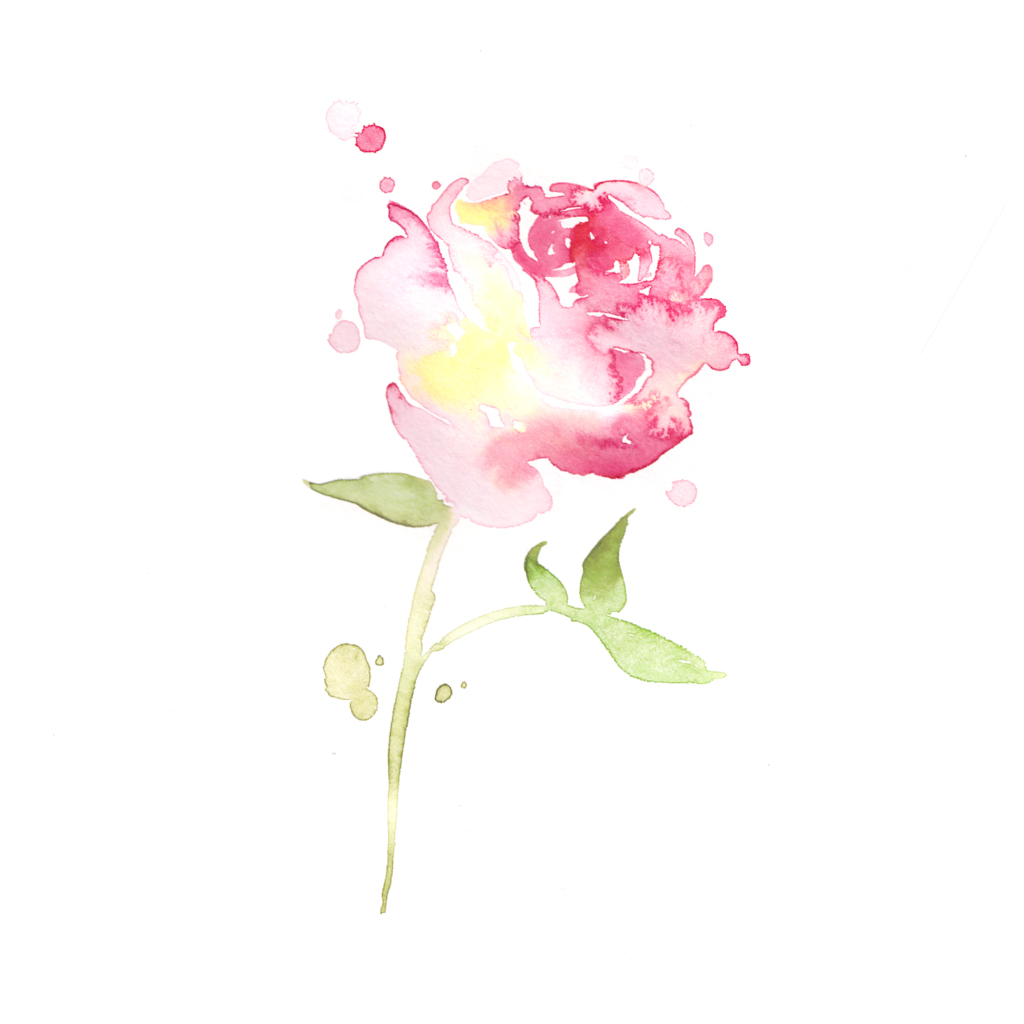 Dampfbadduft Rosenblüten