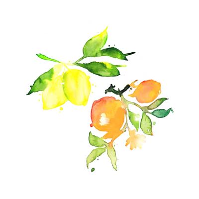 Dampfbad- & Sauna-Wohlfühlduft Orange-Zitrone
